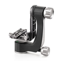 Benro GH2N testa per treppiede Grigio, Argento 3/8" Sospensione