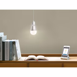 TP-Link LB100 soluzione di illuminazione intelligente Lampadina intelligente Wi-Fi