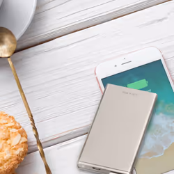 TP-Link TL-PBB3000 batteria portatile 3000 mAh Oro