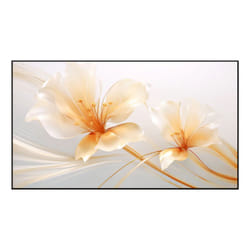 XGIMI SCREEN 100" UST ALR - SCHERMO PER PROIETTORI