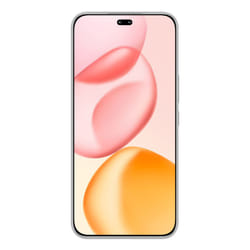 Honor 400 Pro 17 cm (6.7") MagicOS 9.0 5G 12 GB 512 GB 5300 mAh Grigio