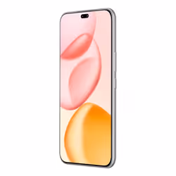 Honor 400 Pro 17 cm (6.7") MagicOS 9.0 5G 12 GB 512 GB 5300 mAh Grigio