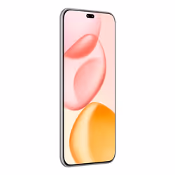 Honor 400 Pro 17 cm (6.7") MagicOS 9.0 5G 12 GB 512 GB 5300 mAh Grigio