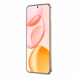 Honor 400 16,6 cm (6.55") MagicOS 9.0 5G 8 GB 256 GB 5300 mAh Oro