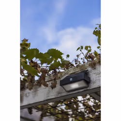 LUTEC ARROW Illuminazione da parete da esterno LED