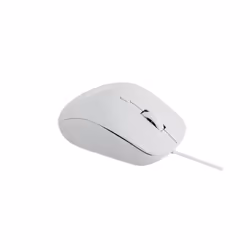 Rapoo N500, Ottico, USB tipo A, 3600 DPI, Bianco