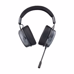 Rapoo VH800 Auricolare True Wireless Stereo (TWS) A Padiglione Gaming USB tipo-C Bluetooth Nero, Grigio