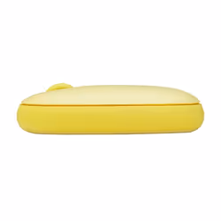 Rapoo M660 Silent mouse Ufficio Ambidestro RF senza fili + Bluetooth Ottico 1300 DPI