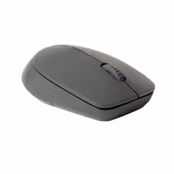 Rapoo M100 Silent, Ambidestro, Ottico, RF senza fili + Bluetooth, 1000 DPI, Grigio