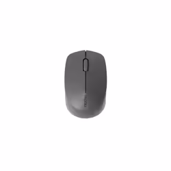 Rapoo M100 Silent mouse Ufficio Ambidestro RF senza fili + Bluetooth Ottico 1000 DPI