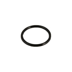 P6005 - O-ring per tubo del filtro da 32 mm (intex 10134) - Bestway