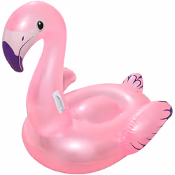 Moulage Général Méridional 41122, 3 anno/i, Multicolore