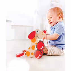 Hape E0347 giocattolo trainabile