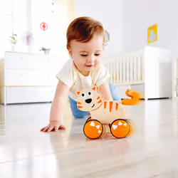 Hape E0363 giocattolo trainabile