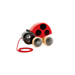Hape Insetto da trainare Marie 1 St