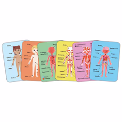 Hape Human Body Magnetic Puzzle Puzzle con formine Persone - Vista aggiuntiva 5