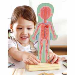 Hape Human Body Magnetic Puzzle Puzzle con formine Persone - Vista aggiuntiva 7