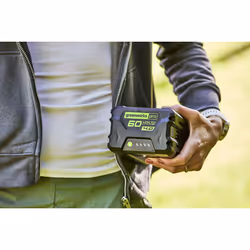 Greenworks 2918407 batteria e caricabatteria per utensili elettrici