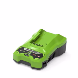 Greenworks 2932407, Caricatore per batteria, Greenworks, Verde, AC, 220 - 240 V, Ioni di Litio