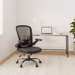 [Sedia da ufficio ergonomica] Lo schienale a forma di S abbraccia comodamente la schiena, con il supporto lombare imbottito r ...