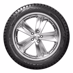 Sailun Ice Blazer WST3 XL 205/55 R16 Inverno 40,6 cm (16") 20,5 cm - Vista aggiuntiva 2