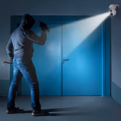Reolink E Series E540 Cupola Telecamera di sicurezza IP Interno e esterno 2560 x 1920 Pixel Parete - Vista aggiuntiva 7