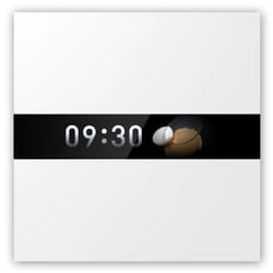 Aqara Display Switch V1