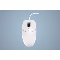 Active Key AK-PMJ1, Ambidestro, Ottico, USB tipo A, 1000 DPI, Bianco