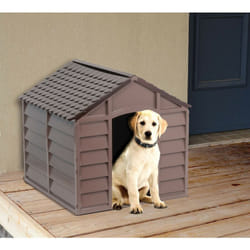 Gardiun - Cuccia per Cani Taglia Media in Resina pvc Smontabile Tetto Marrone