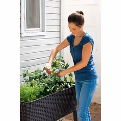 Keter EASY GROW Fioriera Libera installazione Resina Antracite