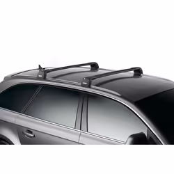 Thule WingBar Edge 9594B, Portabagagli, Montaggio a soffitto, Nero