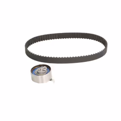 Cinghia: con profilo dente arrotondato. Indice: VKMA 01334. Larghezza cinghia [mm]: 24. Numero del Produttore: VKMA 01334. N° ...