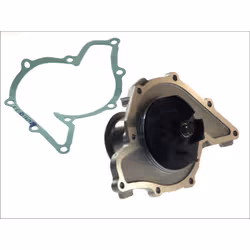 Indice: VKPC 81635. Materiale girante pompa acqua: Plastica. Numero del Produttore: VKPC 81635. Produttore: SKF. Versione pom ...