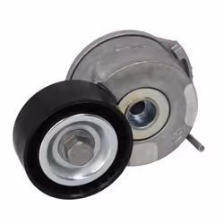 Azionamento rullo tenditore: Automatico. Diametro [mm]: 65,5. Indice: VKM 33205. Larghezza [mm]: 25. Numero del Produttore: V ...