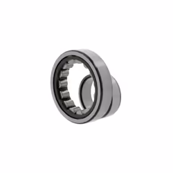 SKF - Cuscinetto a rulli cilindrici 25mm od 100mm id 55mm foro cilindrico