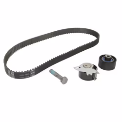 Set di cinghie di distribuzione SKF VKMA 03317