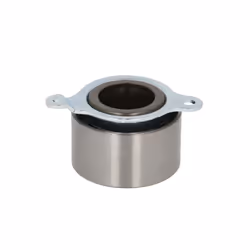 Puleggia tendicinghia, cinghia dentata SKF VKM 73201
