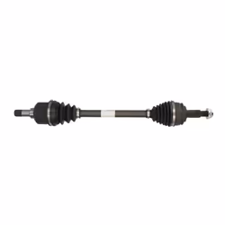 Dentatura esterna lato differenziale: 24. Dentatura esterna lato ruota: 28. Diametro fascia elastica [mm ]: 58,5. Diametro gi ...