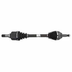Dentatura esterna lato differenziale: 39. Dentatura esterna lato ruota: 29. Diametro fascia elastica [mm ]: 60. Diametro giun ...