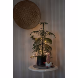 Konstsmide 1408-500 illuminazione decorativa Ghirlanda di luci decorative 20 lampadina(e) LED 0,4 W - Vista aggiuntiva 4