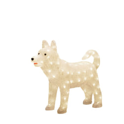 Konstsmide Dog Husky Figura luminosa decorativa 88 lampadina(e) LED 3,6 W G
