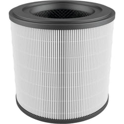AEG AFFBRZ2 Filtro per purificatore d'aria