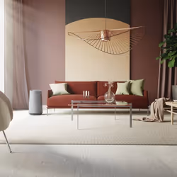 Electrolux EFFCAR2 Filtro per purificatore d'aria