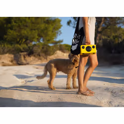 Audio Pro T3+ Altoparlante portatile stereo Giallo