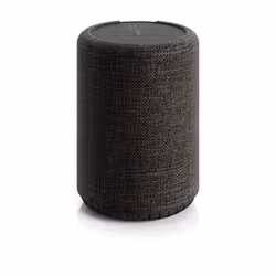 Audio Pro G10, 3,18 cm (1.25"), 7,62 cm (3"), 62 W, 55 - 22000 Hz, Con cavo e senza cavo, Altoparlante portatile stereo