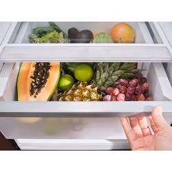 Electrolux LNT7MC36X Libera installazione 362 L C Acciaio inox - Vista aggiuntiva 4