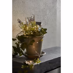 Star Trading 480-30 illuminazione decorativa Ghirlanda di luci decorative 50 lampadina(e) LED 1 W