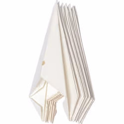 Star Trading 503-10 decorazione natalizia Decorazione natalizia a forma di stella Carta Bianco 1 pz