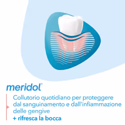 Meridol® Collutorio Protezione Gengive 100 ml