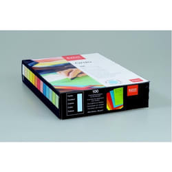 Elco Ordo Classico 220 x 310 mm scatola per la conservazione di documenti Multicolore